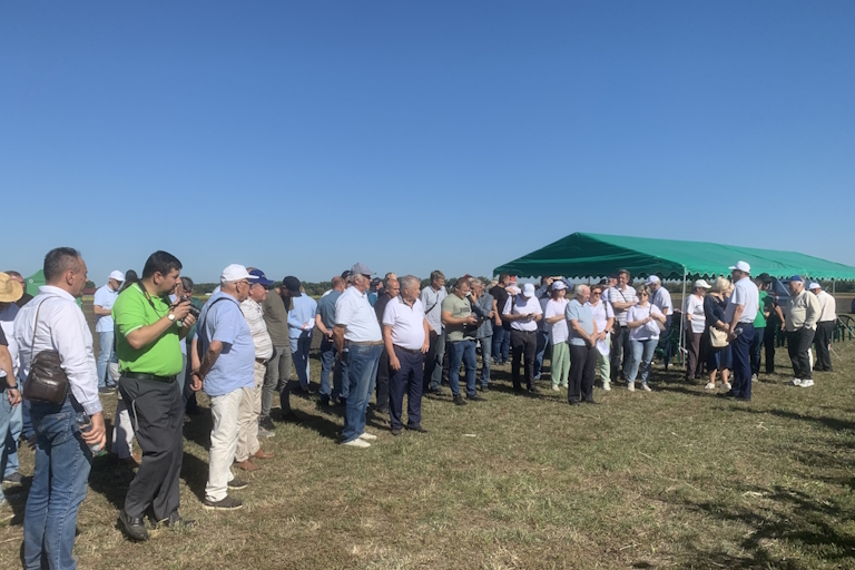 Ксаверівка 04.09.2025