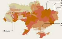 поради з вибору сорту пшениці
