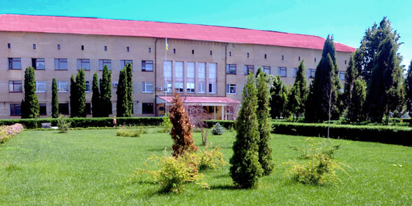 image004 copy.jpg