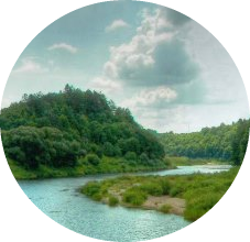 Полісся