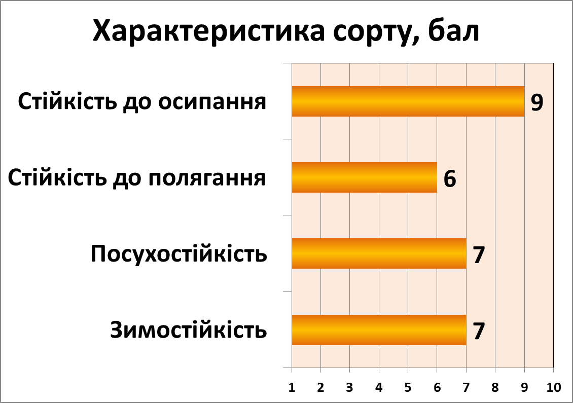 Вишиванка білоцерківська