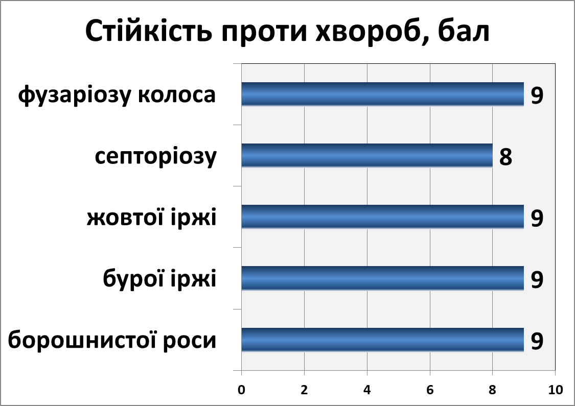 Зорепад білоцерківський