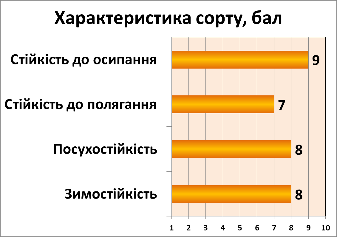 Відрада