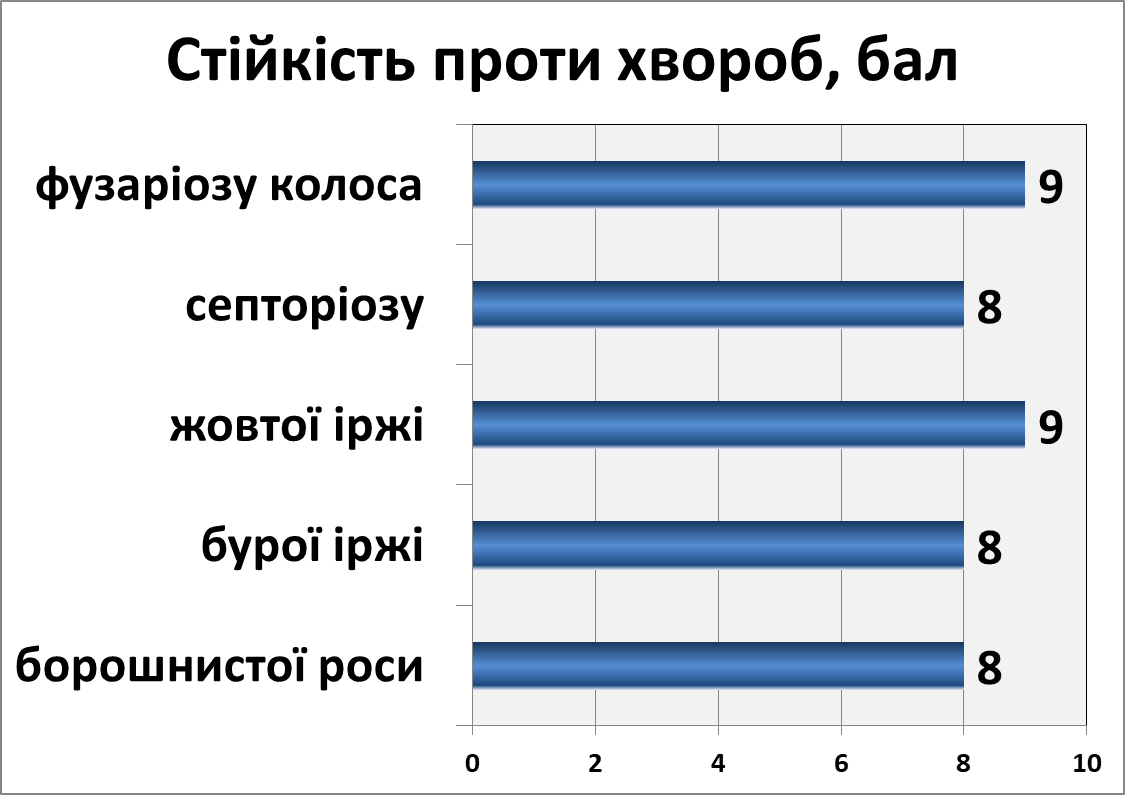 Романтика