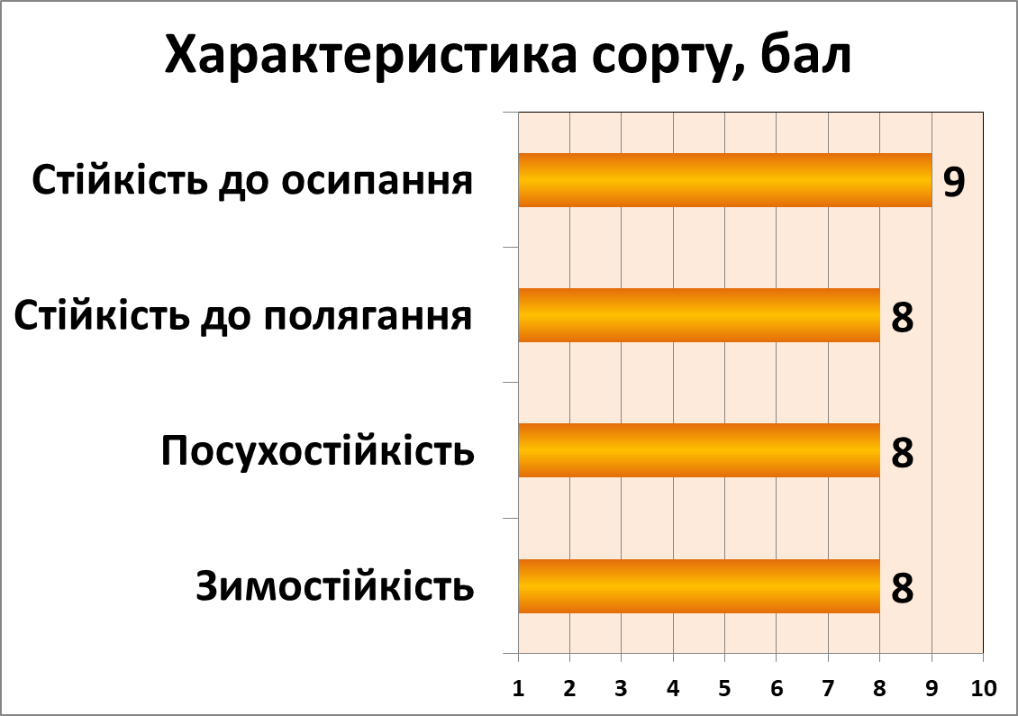 Романтика